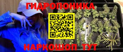 альфа пвп Гусев